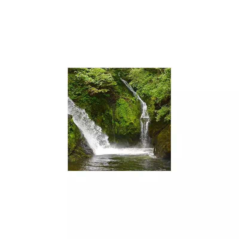 Discover the Hidden Gem of the UK: A Secret Spot That Rivals the Maldives