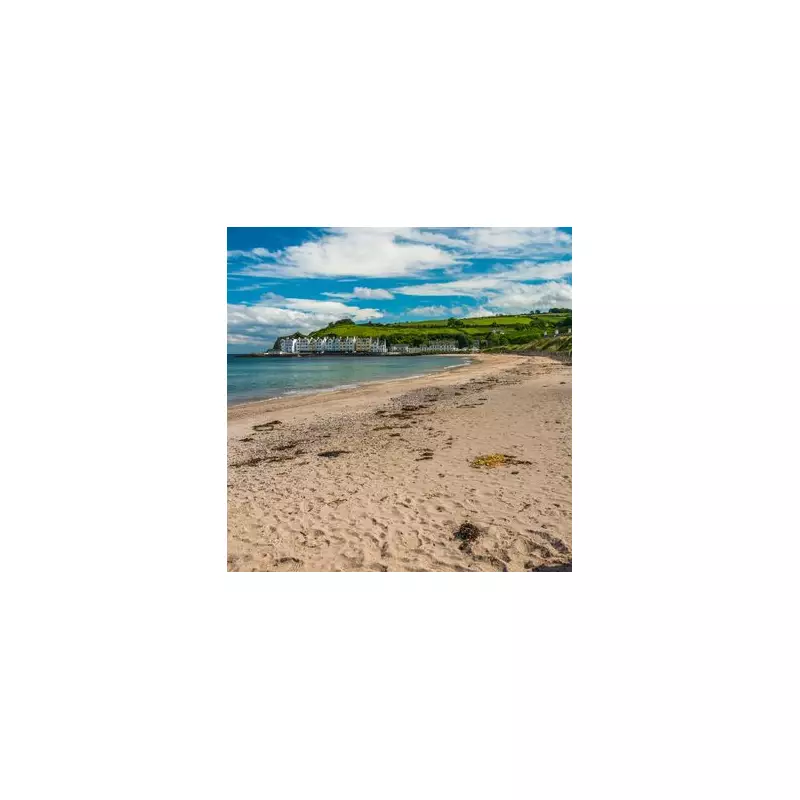 Discover the Hidden Gem of the UK Coast: White Sand Beaches in Weston-super-Mare