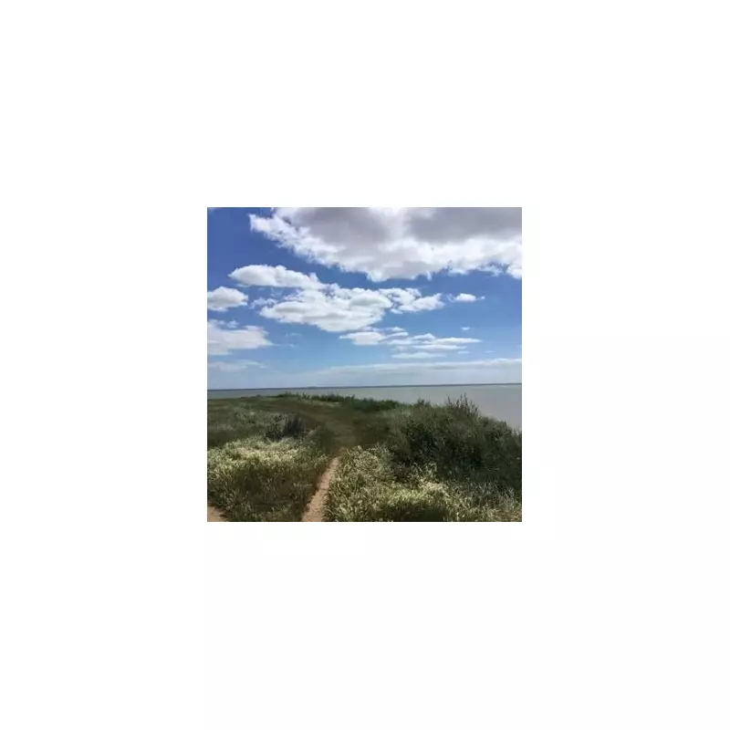 Discover the UK's Best-Kept Secret: A Stunning Hidden Beach You've Never Heard Of