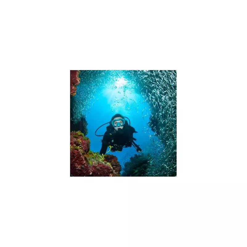 Diver's Horrifying Final Moments After Stabbing by Giant Stingray