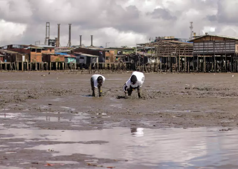 Diving into Danger: The Perilous Search for Colombia's Missing Underwater