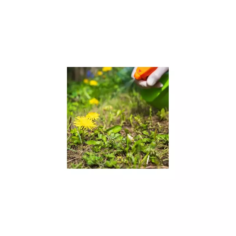 DIY Weed Killer: 3 Natural Recipes to Banish Weeds Without Harsh Chemicals