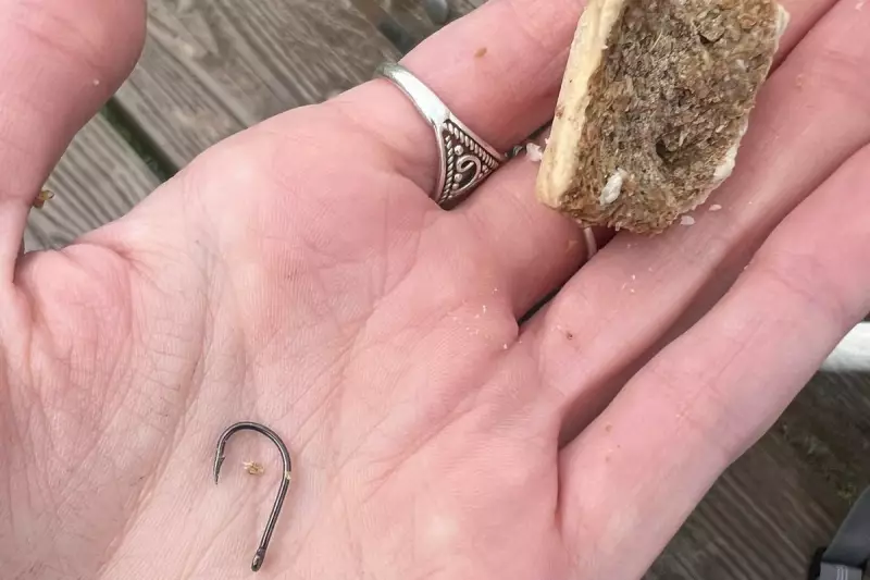 Dog Owners Warned After Fishhooks Found in South Wales Park