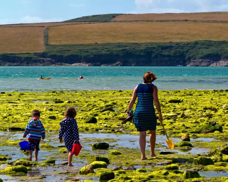 Dream Home or Distant Dream? UK Holiday Hotspots See Surge in Property Buyers