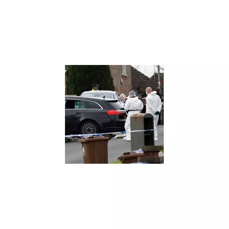 E-Bike Rider in Critical Condition After Collision with Royal Family Member's Vehicle