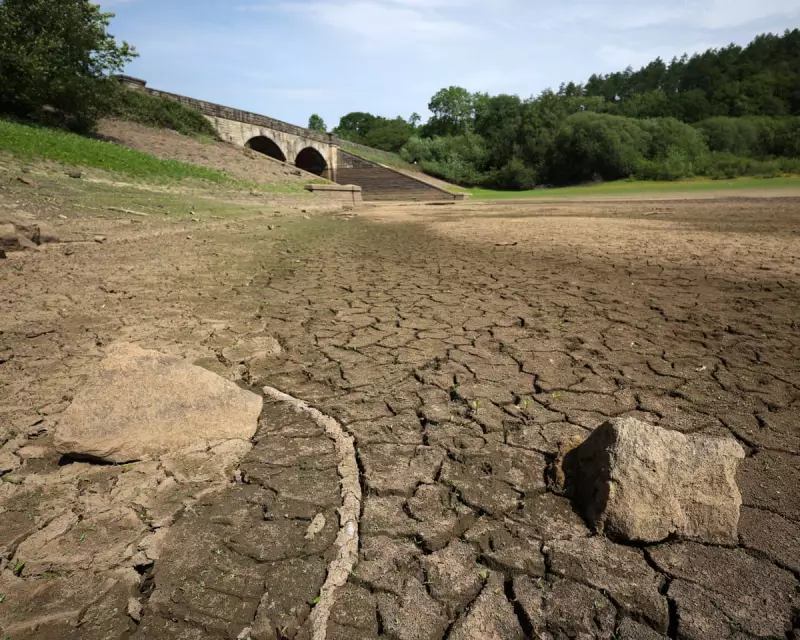 England's Drought Crisis Deepens: Four Regions Declared as Hot Weather Threatens Wildlife and Crops