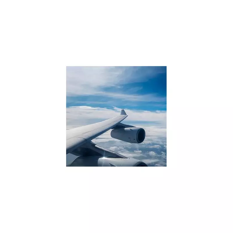 Essential Packing List for Long-Haul Flights: Stay Comfortable & Organised