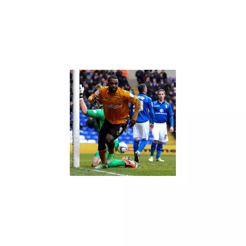 Ex-Wolves Star Sylvan Ebanks-Blake Sues Club Over Career-Ending Injury