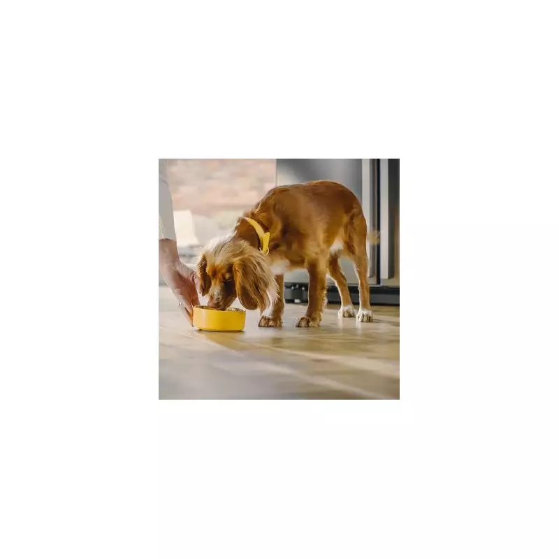 Exclusive Discount: Save Big on Pure Pet Dog Food with This Unmissable Offer!