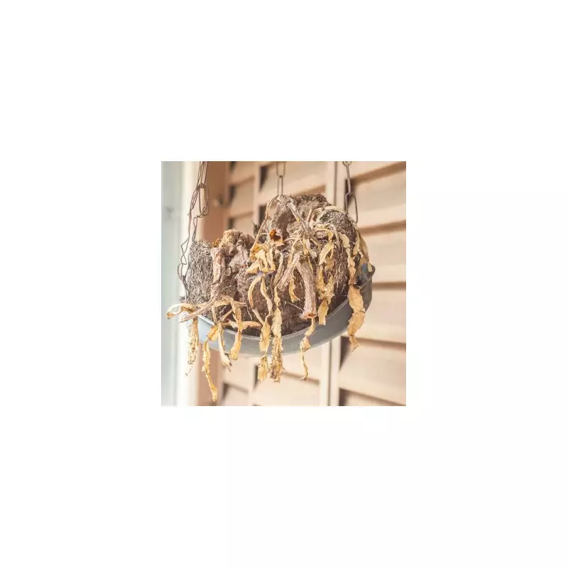 Expert Tips for Thriving Hanging Baskets: Keep Your Blooms Lush All Summer