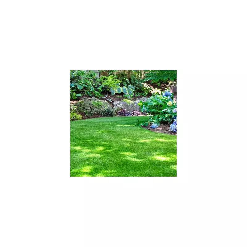 Expert Tips to Transform Your Lawn into a Lush Green Paradise