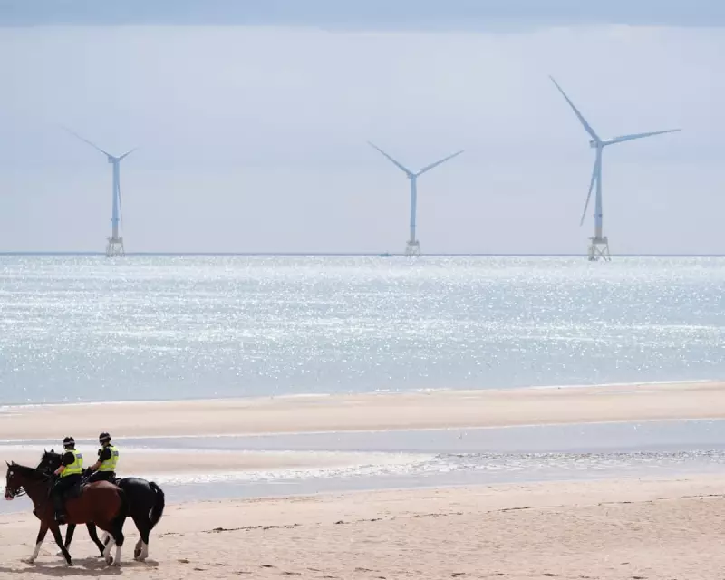 Fact-Checking Trump's Controversial Claims on Wind Power: What's True and What's Not