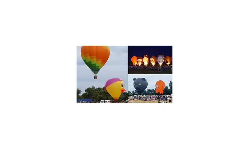 Families Slam 'Rip-Off' Hot Air Balloon Festival as 'Deflating' Experience