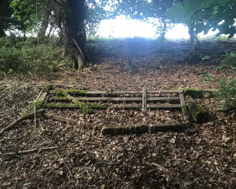 Farm Gates with a Story: A Country Diary of Rustic Charm and Heritage