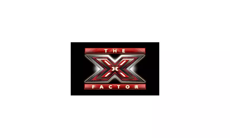 From X Factor Fame to a Surprising New Career: The Unexpected Pivot of a Music Star