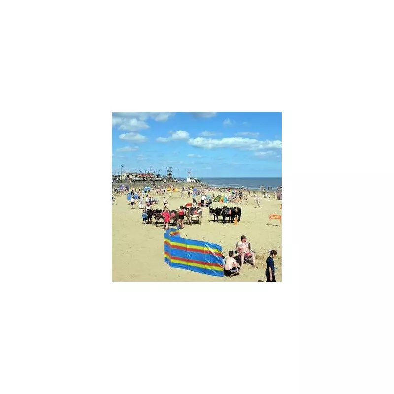 Furious Locals Rally to Protect Beloved Seaside Town from 'Disneyland' Makeover