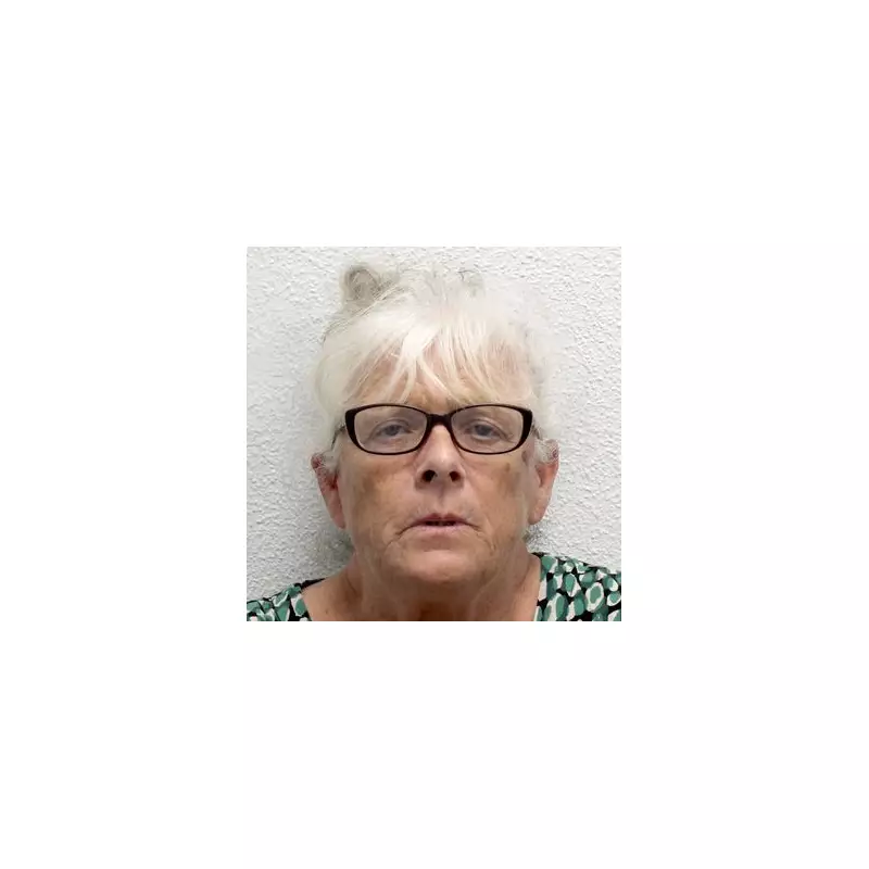 Gangster Granny Caught on CCTV Using Walking Frame to Smash Shop Window in Brazen Raid