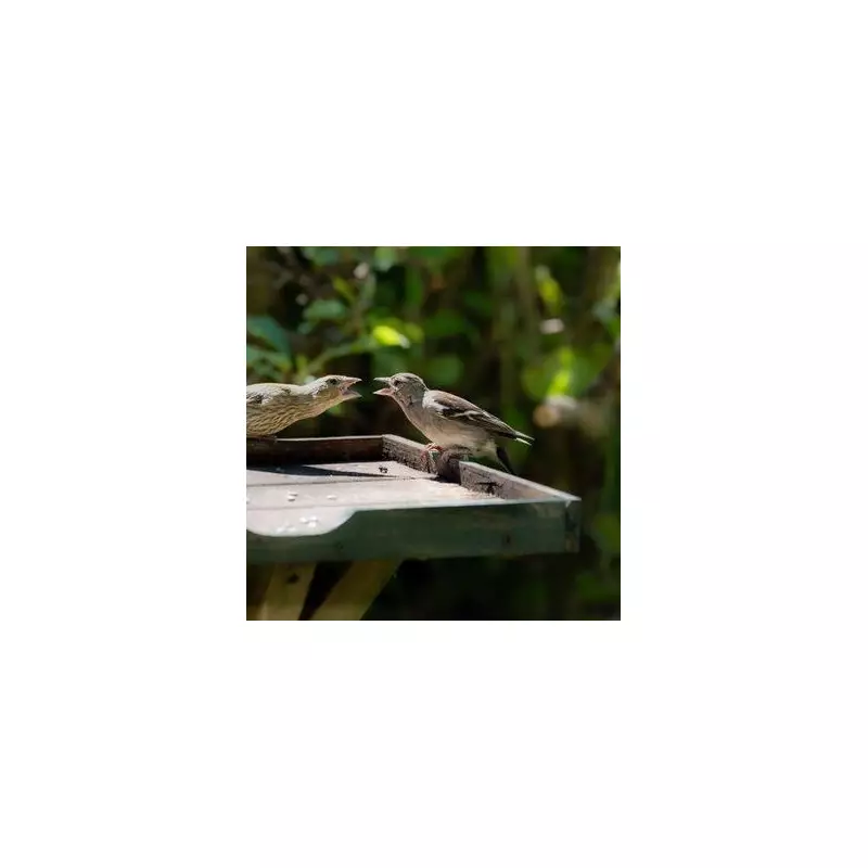 Gardeners Urged to Use Rice for Birds: A Simple Trick to Help Feathered Friends Thrive