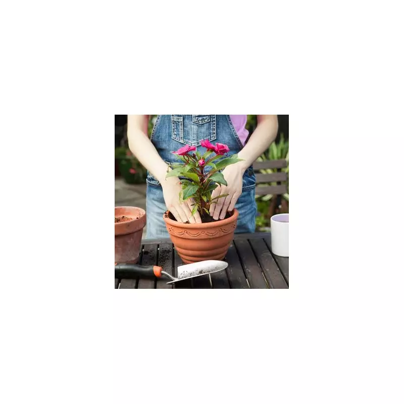 Gardening Expert Reveals Last Chance to Plant Tulips for a Stunning Spring Display