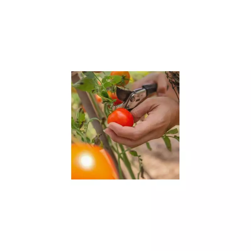 Gardening Expert Reveals the One Thing You Should Never Do When Watering Your Plants