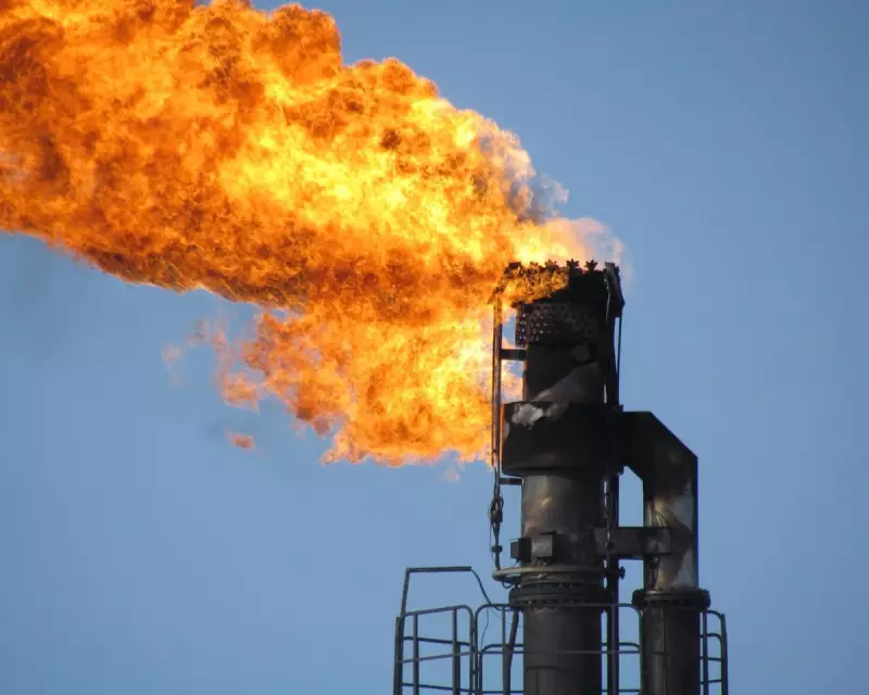 Gas Flaring Emits 389 Million Tonnes of CO2 Annually, Report Reveals