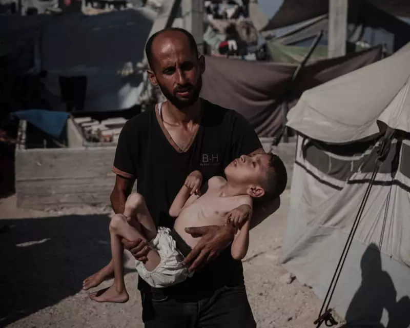 Gaza's Famine Crisis: A Stark Reality Check as Humanitarian Catastrophe Unfolds