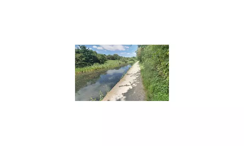 Girl Hospitalised After XL Bully Attack: Poll Reveals Brits Demand Stricter Dog Laws