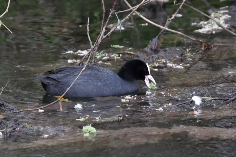 Government Unveils New Strategy to Tackle River Pollution from Sewage Overflows