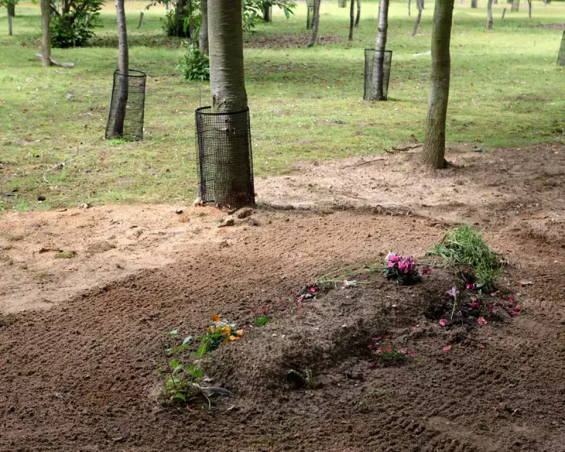 Green Burials: The Eco-Friendly Farewell Gaining Popularity in the UK