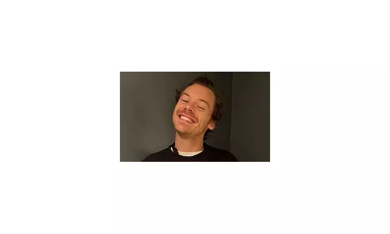 Harry Styles Fans Embrace Sexual Wellness Products Inspired by His Music