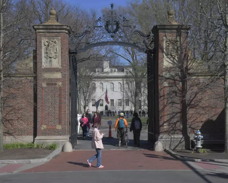 Harvard Faces Backlash Over Trump-Era Employment Forms: What You Need to Know