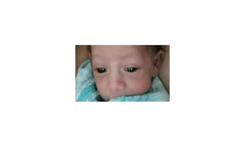 Heartbreaking Tragedy: Homeless Mother's Baby Dies After Being Hit by Scooter in Hollywood, Florida