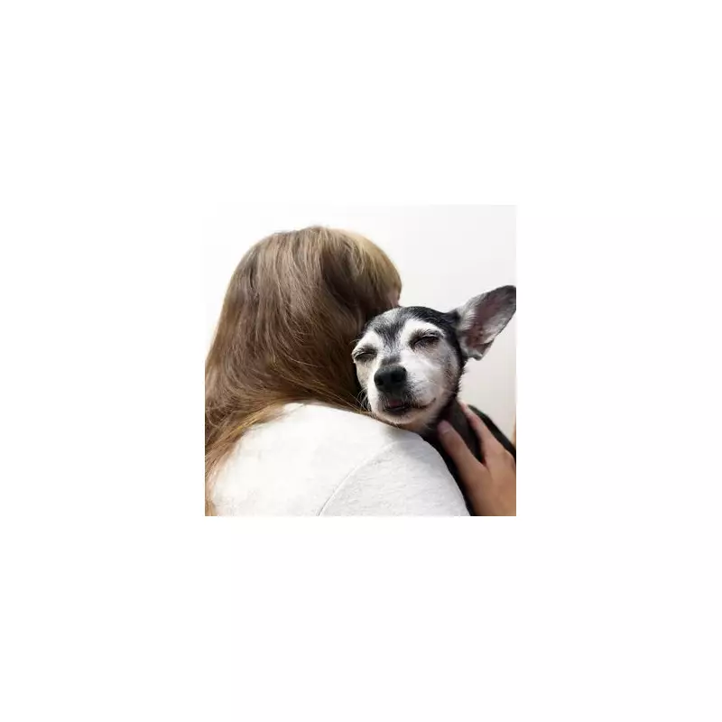 Heartbroken Family Adopts Identical Dog After Losing Beloved Pet – A Touching Tale of Healing