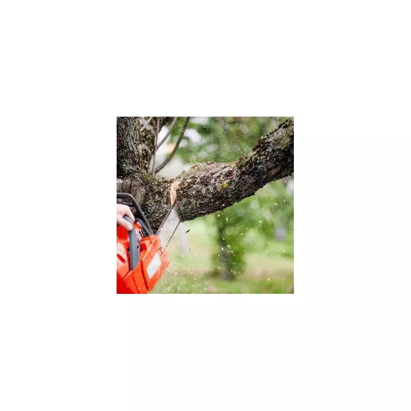 Hidden Danger in Your Garden: Tiny Holes Could Spell Disaster for Your Home