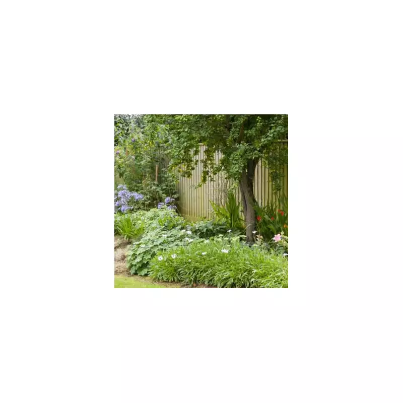 Hidden Danger in Your Garden: Why Your Trees Could Be a Risk to Your Home