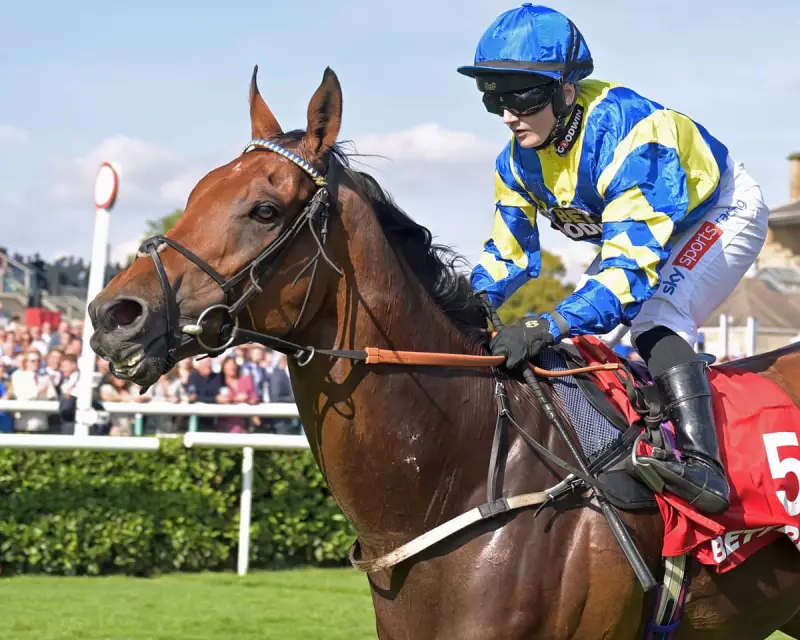 Hollie Doyle Heartbroken as Trueshan Suffers Fatal Injury at Goodwood Racecourse