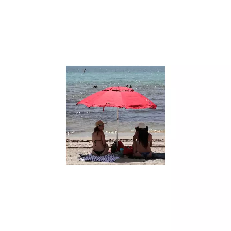 Horror at Hollywood Beach: Shark Attack Leaves Woman Fighting for Life