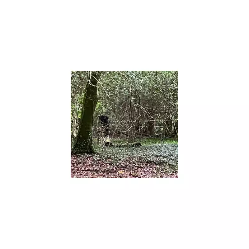 Horror in Bristol: Multiple Bodies Found in Suspicious Circumstances – Police Launch Major Investigation