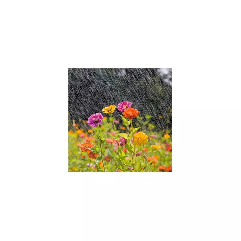 How to Check Soil Moisture: Essential Tips for Healthy Plants