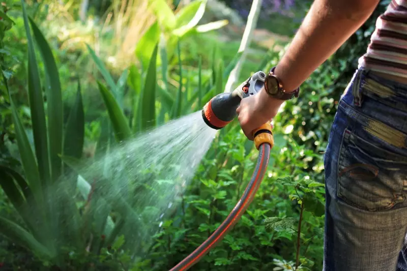 How to Water Your Garden Wisely in the UK's Changing Climate
