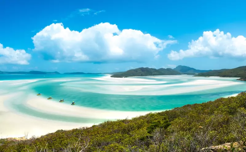 Is This Queensland Beach Truly the Best in the World? Share Your Favourite!