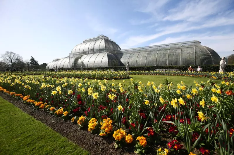 Kew Gardens' Rare Plant Extinction Crisis: A Wake-Up Call for Conservation