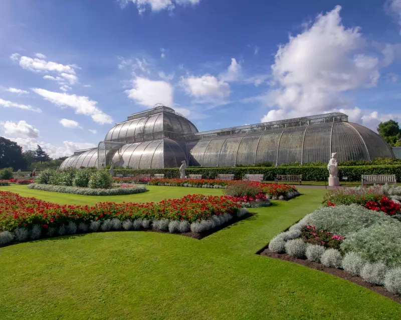 Kew Gardens' Tropical Palm House Set for Groundbreaking Net-Zero Transformation