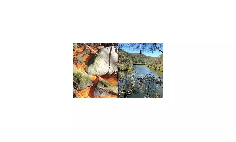 Ku-ring-gai Council Faces Backlash Over Pollution Scandal: Residents Demand Action