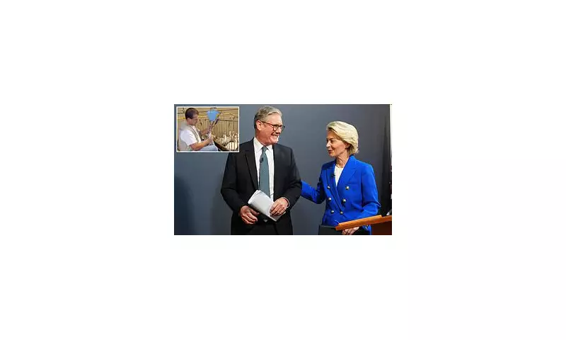 Labour Faces Backlash Over Plans to Weaken Post-Brexit Animal Welfare Standards