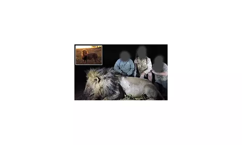 Legendary Lion Blondie, Studied by Oxford Experts, Tragically Shot Dead