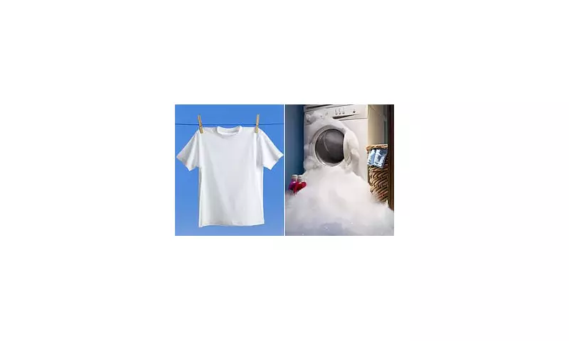 Luxury £395 T-Shirt Fails Durability Test – Lasts Just 4 Washes!