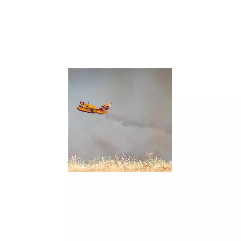 Madrid Engulfed in Toxic Smoke: Residents Flee as Wildfires Rage Near Spanish Capital