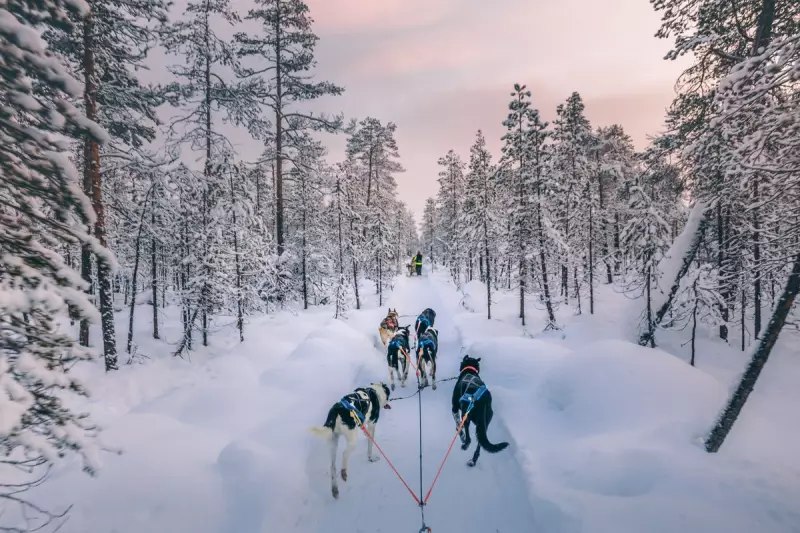 Magical Lapland Day Trips: TUI's Search for Santa Returns for Christmas 2024