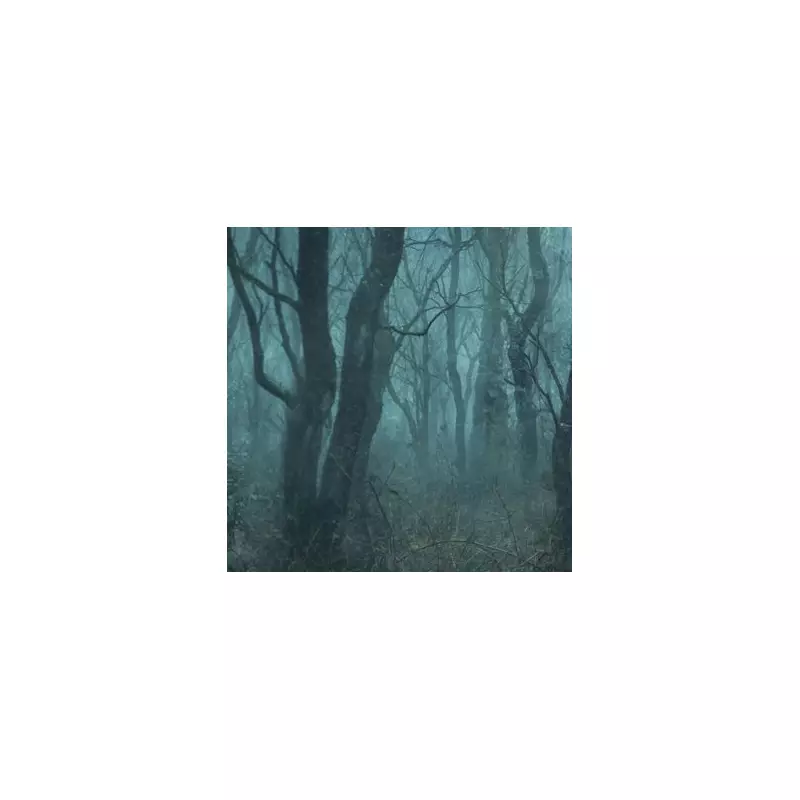 Man's Terrifying Encounter in New Forest: 'I Thought I Was Going to Die'